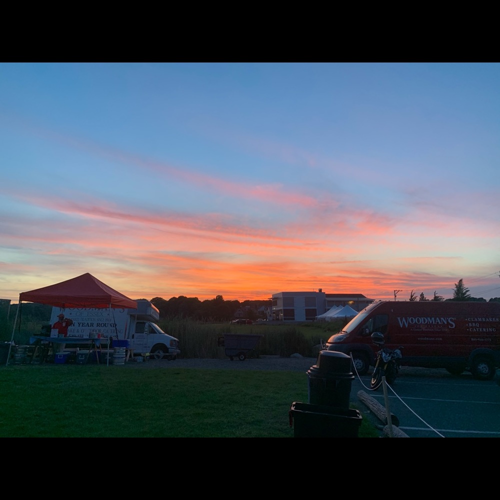 Meet your Posher, Rosie